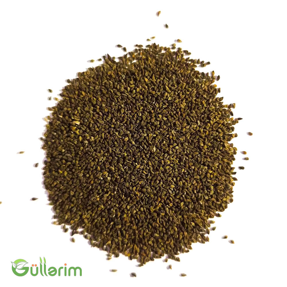 Toxumlar